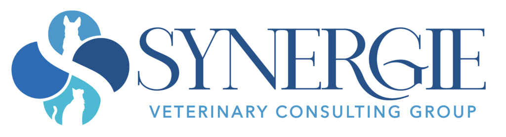 Synergie-LogoMAIN-Thicker-horizontal